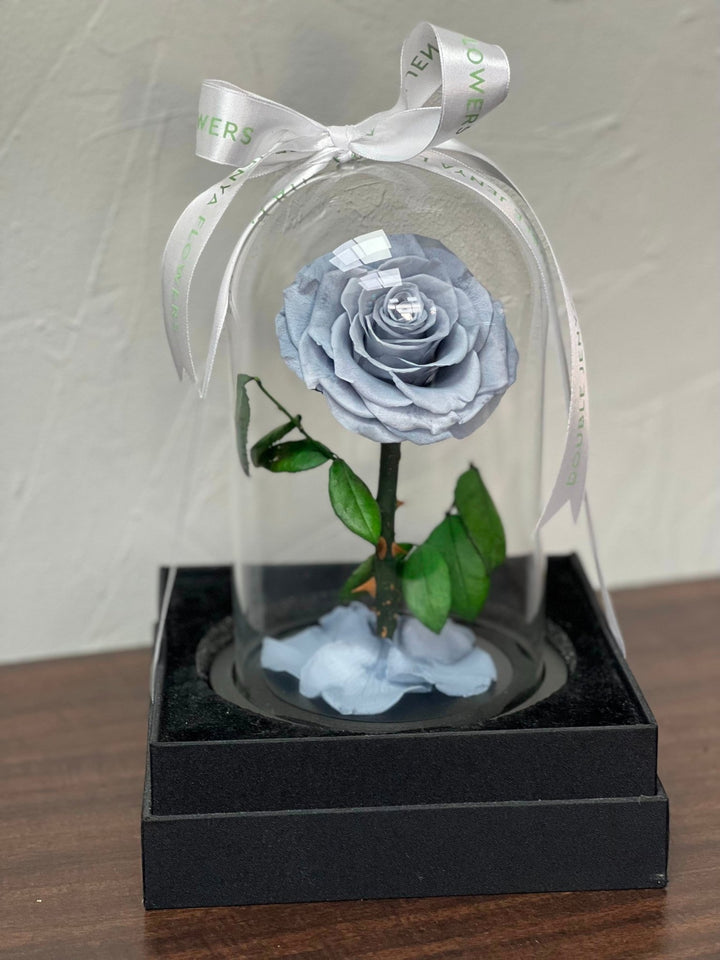 Вечная роза Single Powder blue