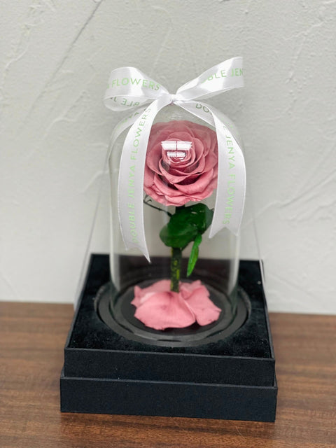 Вечная роза Single Powder pink