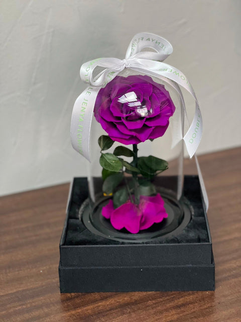 Вечная роза Single Powder Purple