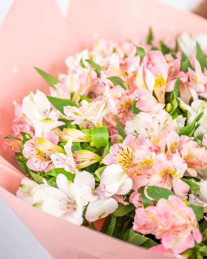 Monobouquet Alstroemeria Oasis - DJ flowers