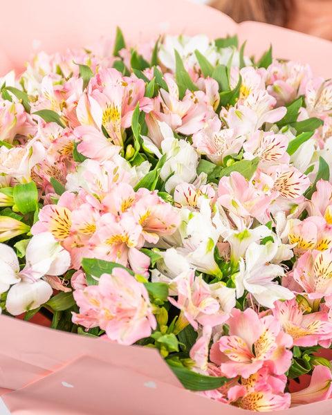 Monobouquet Alstroemeria Oasis - DJ flowers