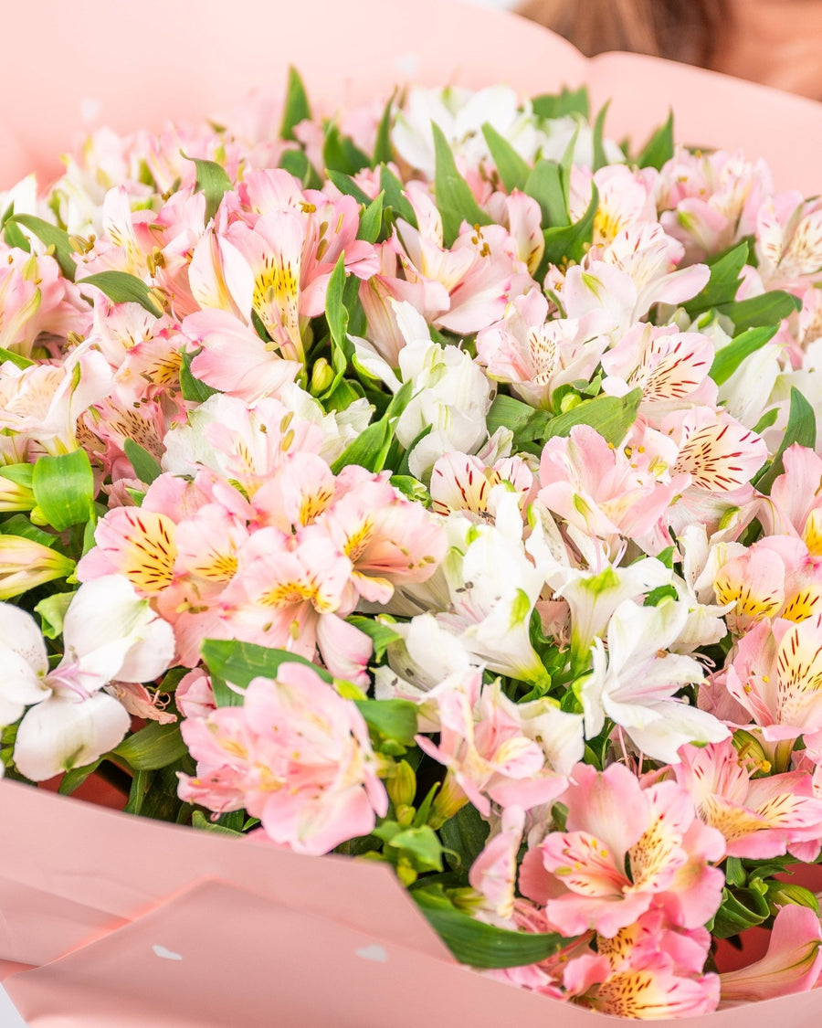 Monobouquet Alstroemeria Oasis - DJ flowers