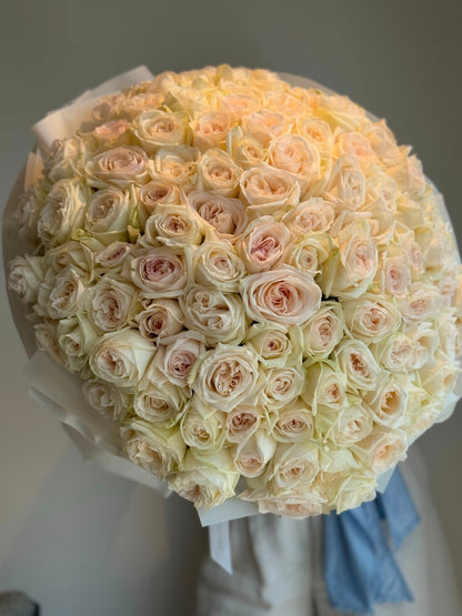 Monobouquet of fragrant white O'hara roses Glimmer - DJ flowers