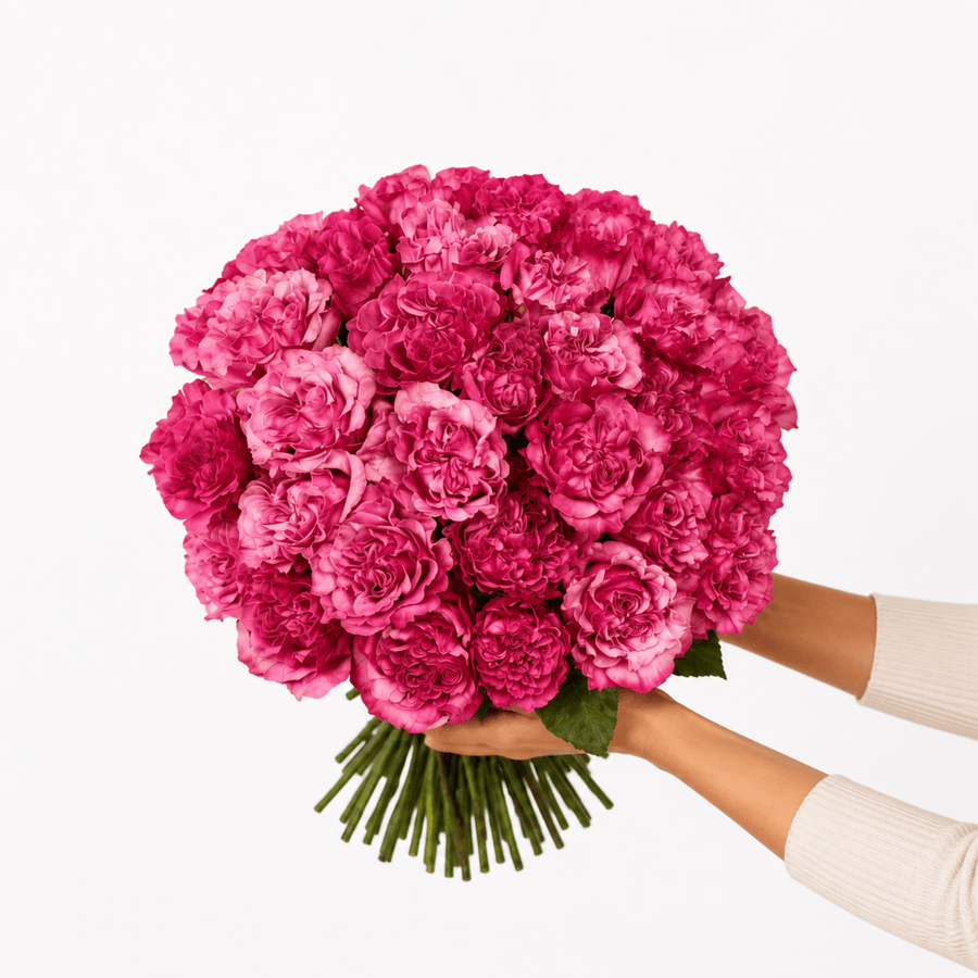 Monobouquet of garden roses Wishful - DJ flowers
