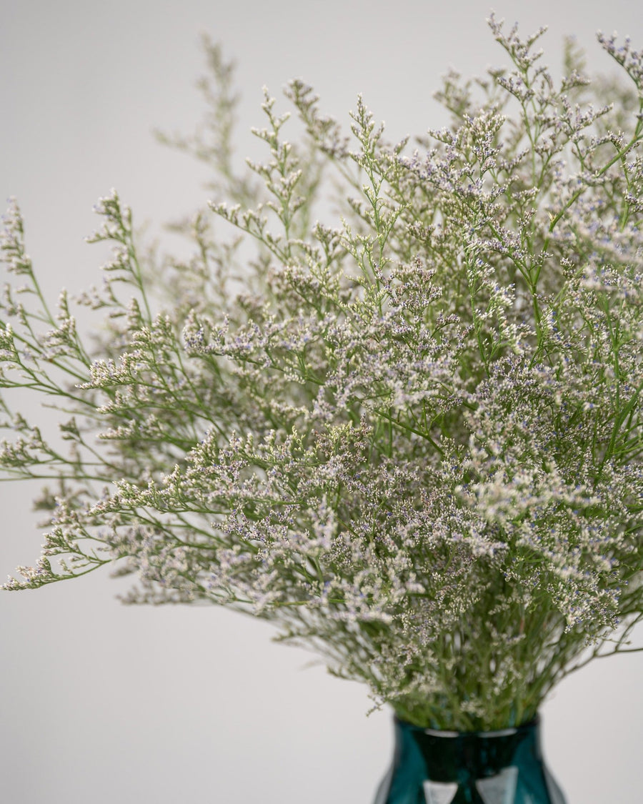 Monobouquet vase arrangement Ambiance - DJ flowers
