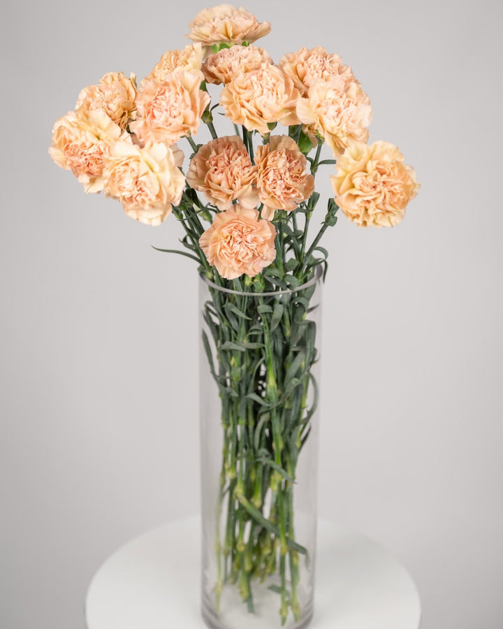 Monobouquet vase arrangement Elegant Ease - DJ flowers