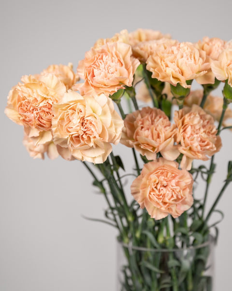 Monobouquet vase arrangement Elegant Ease - DJ flowers
