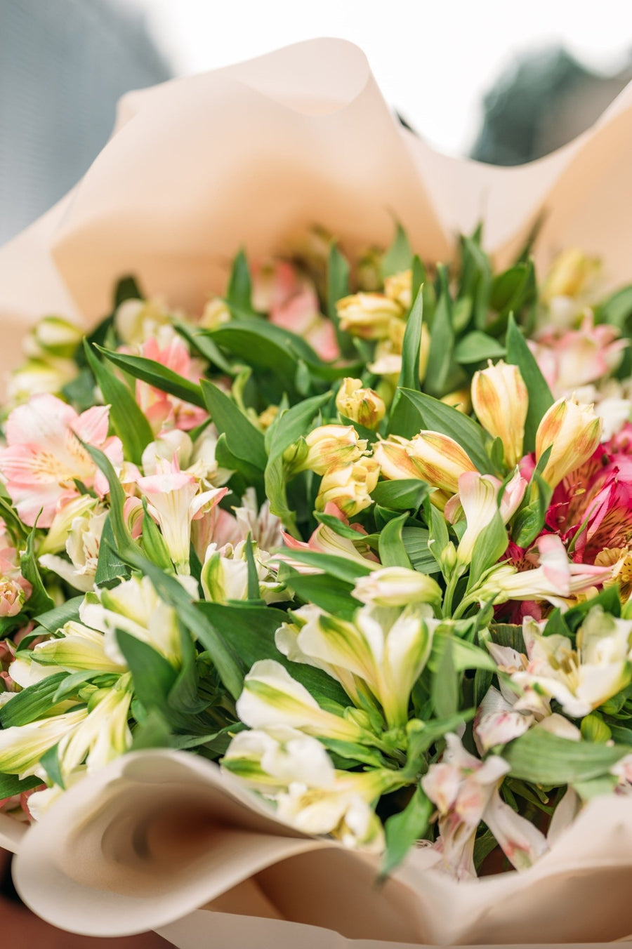 Monobouquets Alstroemeria grand mix - DJ flowers