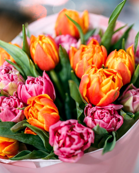 Monobouquets Double beauty - DJ flowers