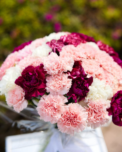 Monobouquets Mono carnation - DJ flowers