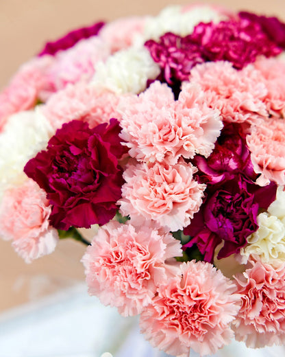 Monobouquets Mono carnation - DJ flowers