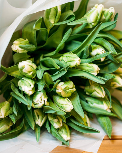 Monobouquets Natural - DJ flowers