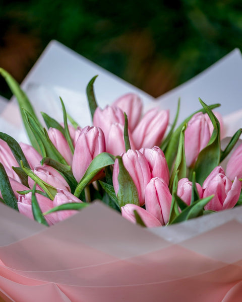 Монобукет Tulips with love