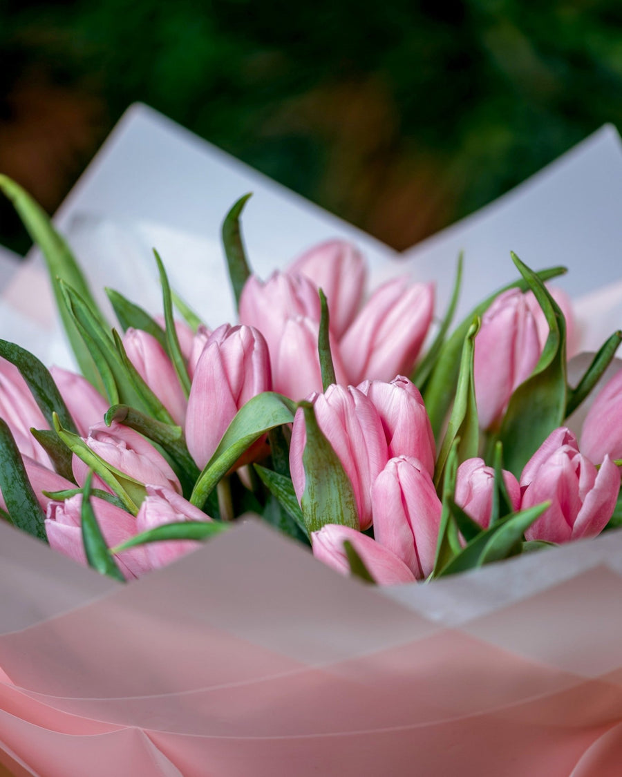 Monobouquets Tulips with love - DJ flowers
