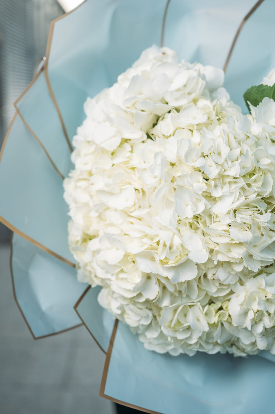 Monobouquets White cloud - DJ flowers