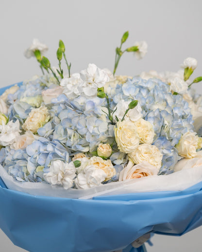 Occasional flowers Angelwing - DJ flowers