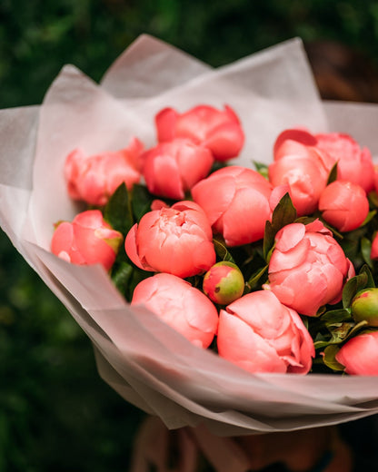 Peony bouquet Coral Charm peonies - DJ flowers