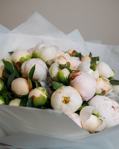 Peony bouquet Pearl Petal Elegance - DJ flowers