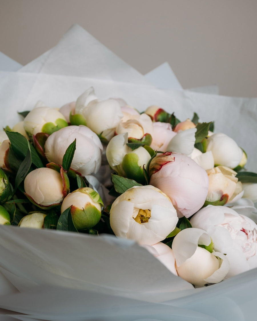 Peony bouquet Pearl Petal Elegance - DJ flowers