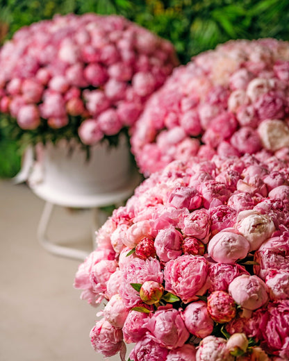 Peony bouquet Wow effect with Sarah Bernhard - DJ flowers