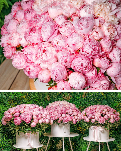 Peony bouquet Wow effect with Sarah Bernhard - DJ flowers