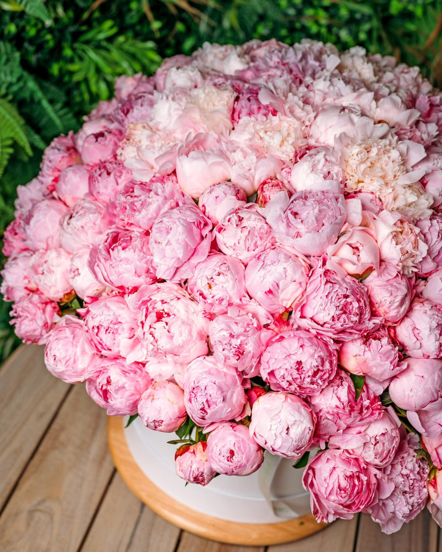 Peony bouquet Wow effect with Sarah Bernhard - DJ flowers