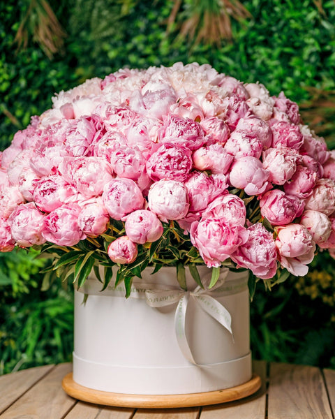 Peony bouquet Wow Sarah Bernhard - DJ flowers
