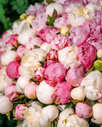 Peony love is in the air bouquet - DJ flowers