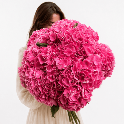 Pink hydrangea bouquet Featherweight - DJ flowers