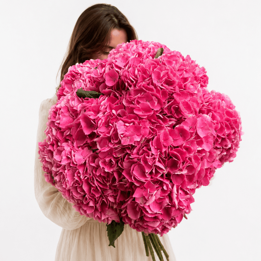 Pink hydrangea bouquet Featherweight - DJ flowers