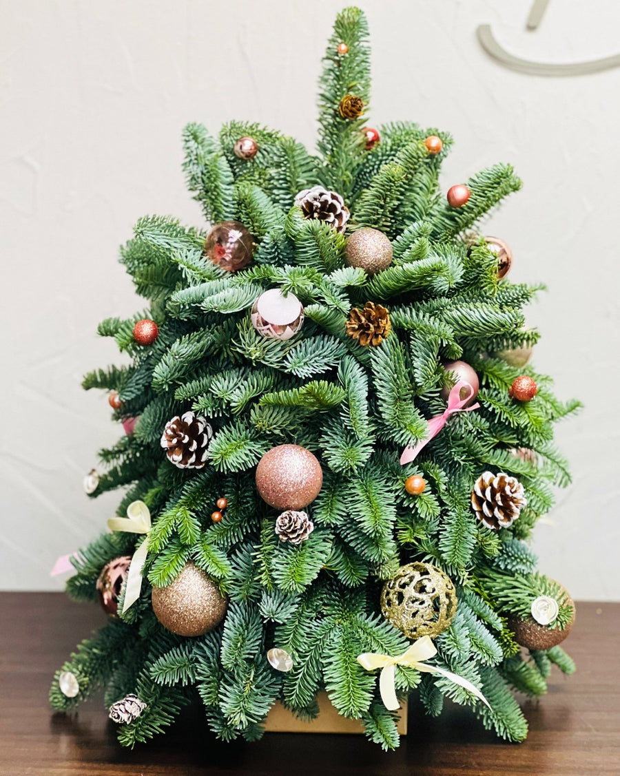 Pink Lights Christmas tree (size S) - DJ flowers