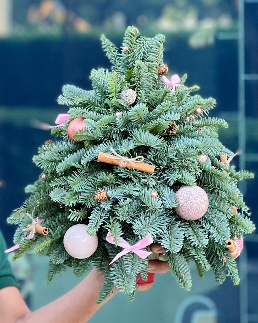 Pink Lights Christmas tree (size XS) - DJ flowers