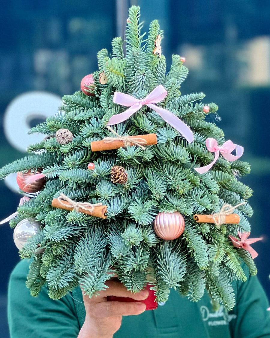 Pink Lights Christmas tree (size XS) - DJ flowers