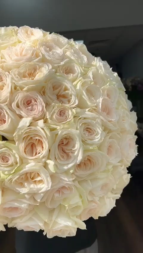 Monobouquet of fragrant white O'hara roses Glimmer product video