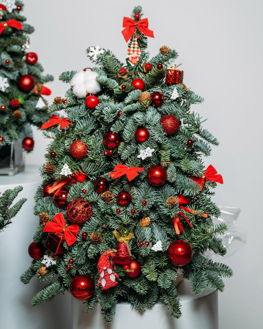Red Lights Christmas tree (size M) - DJ flowers