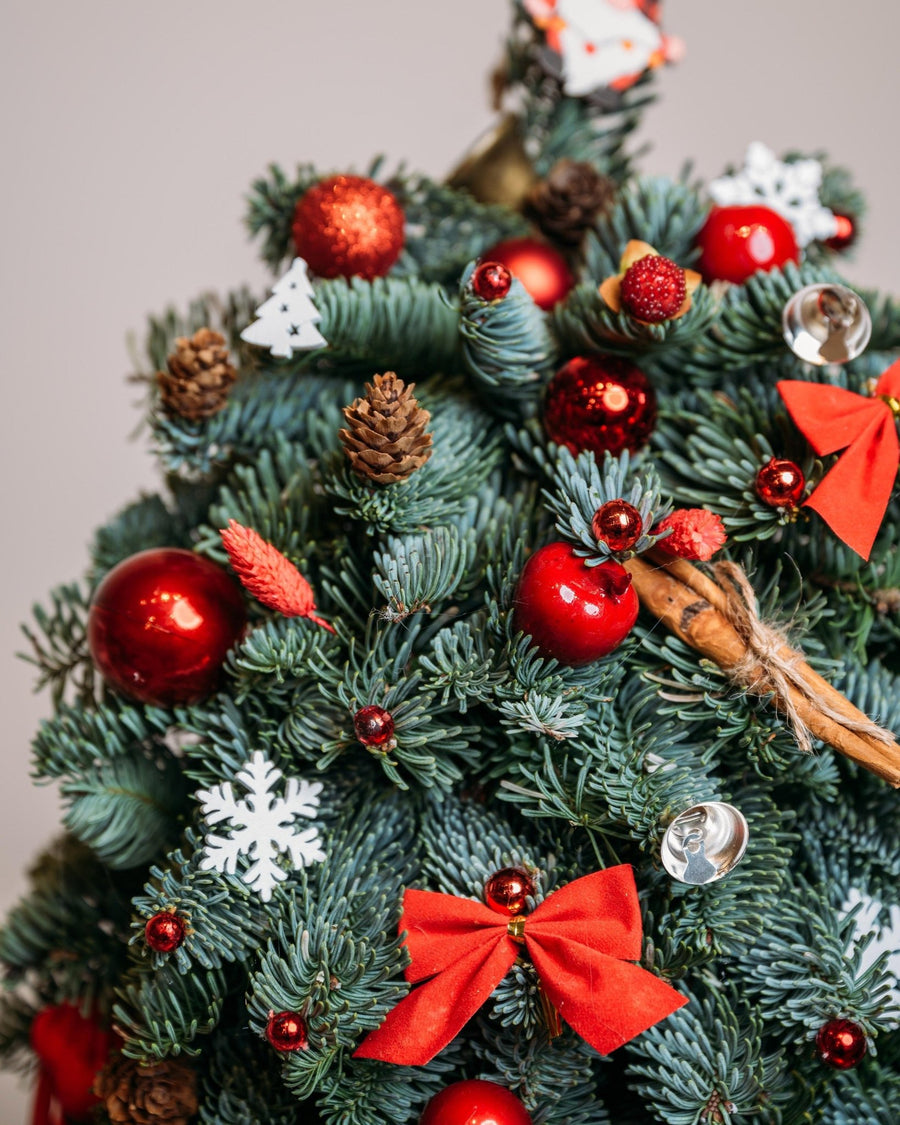 Red Lights Christmas tree (size S) - DJ flowers