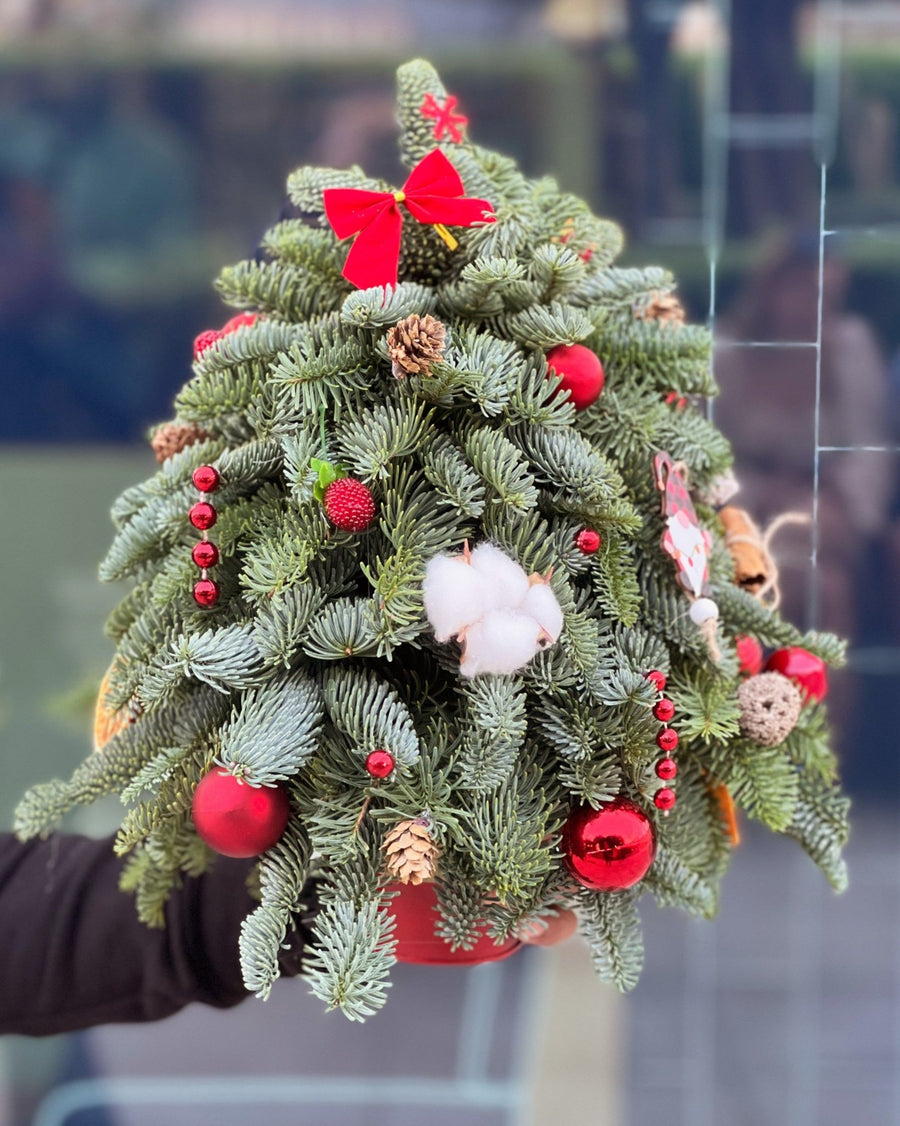 Red Lights Christmas tree (size XS) - DJ flowers