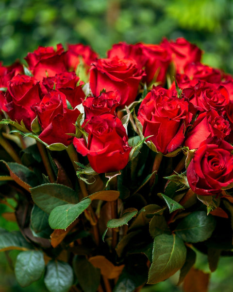 Rose bouquet Thinking of classic - DJ flowers