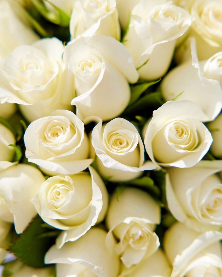 Rose bouquet White classics - DJ flowers
