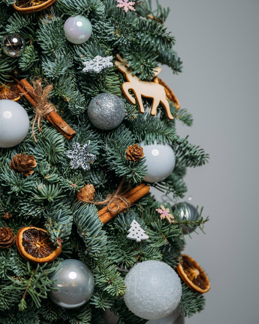 Silver Lights Christmas tree (size M) - DJ flowers