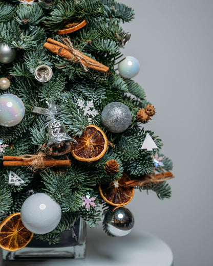 Silver Lights Christmas tree (size S) - DJ flowers