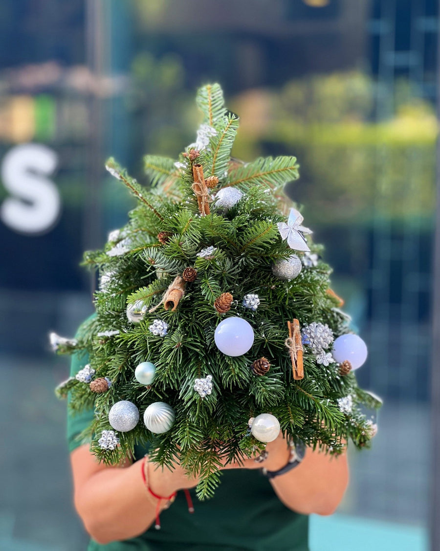 Silver Lights Christmas tree (size XS) - DJ flowers