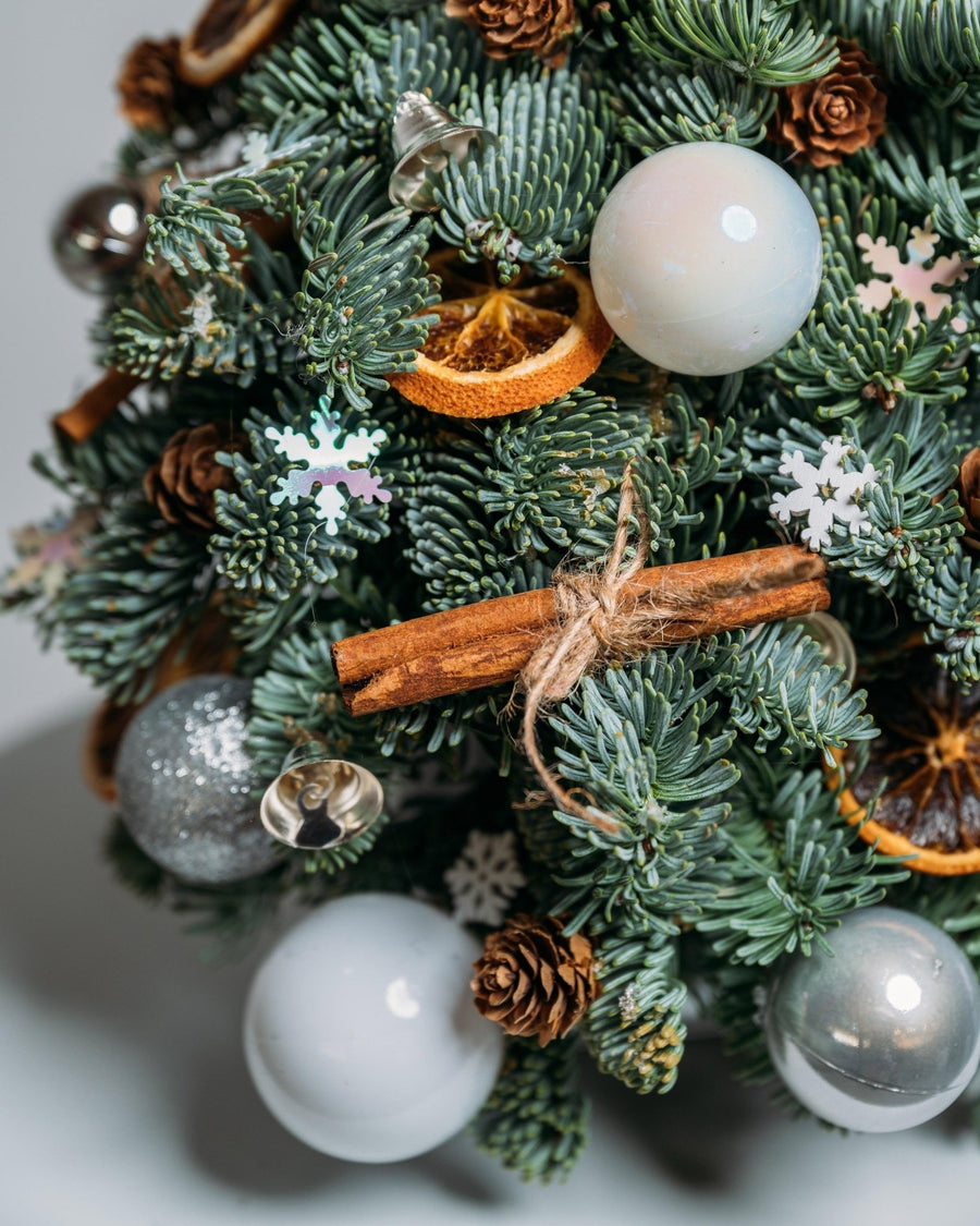Silver Lights Christmas tree (size XS) - DJ flowers