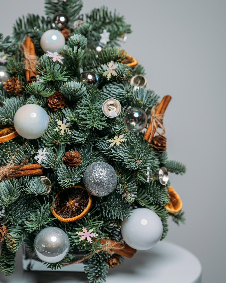 Silver Lights Christmas tree (size XS) - DJ flowers
