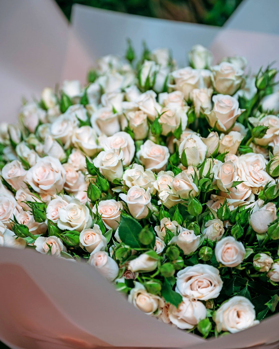 Spray Roses Brilliant - DJ flowers