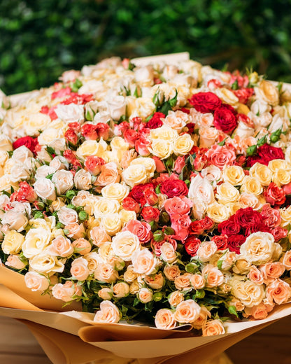 Spray roses Giant beauty - DJ flowers