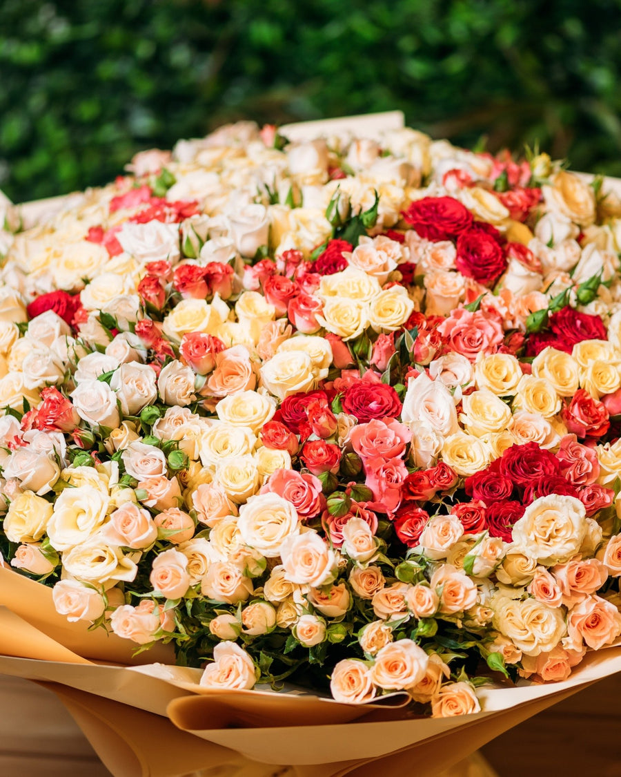 Spray roses Giant beauty - DJ flowers
