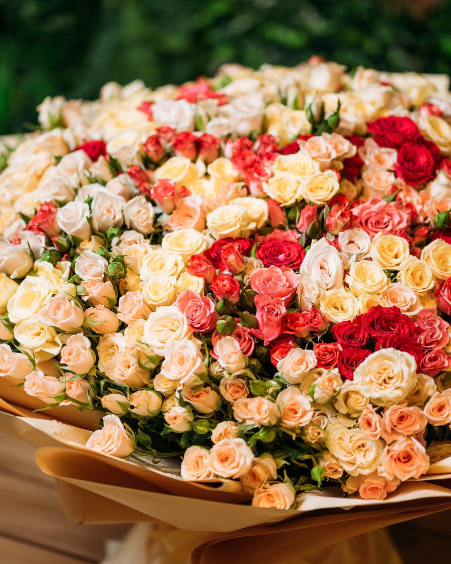 Spray roses Giant beauty - DJ flowers