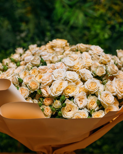 Spray roses Salinero - DJ flowers