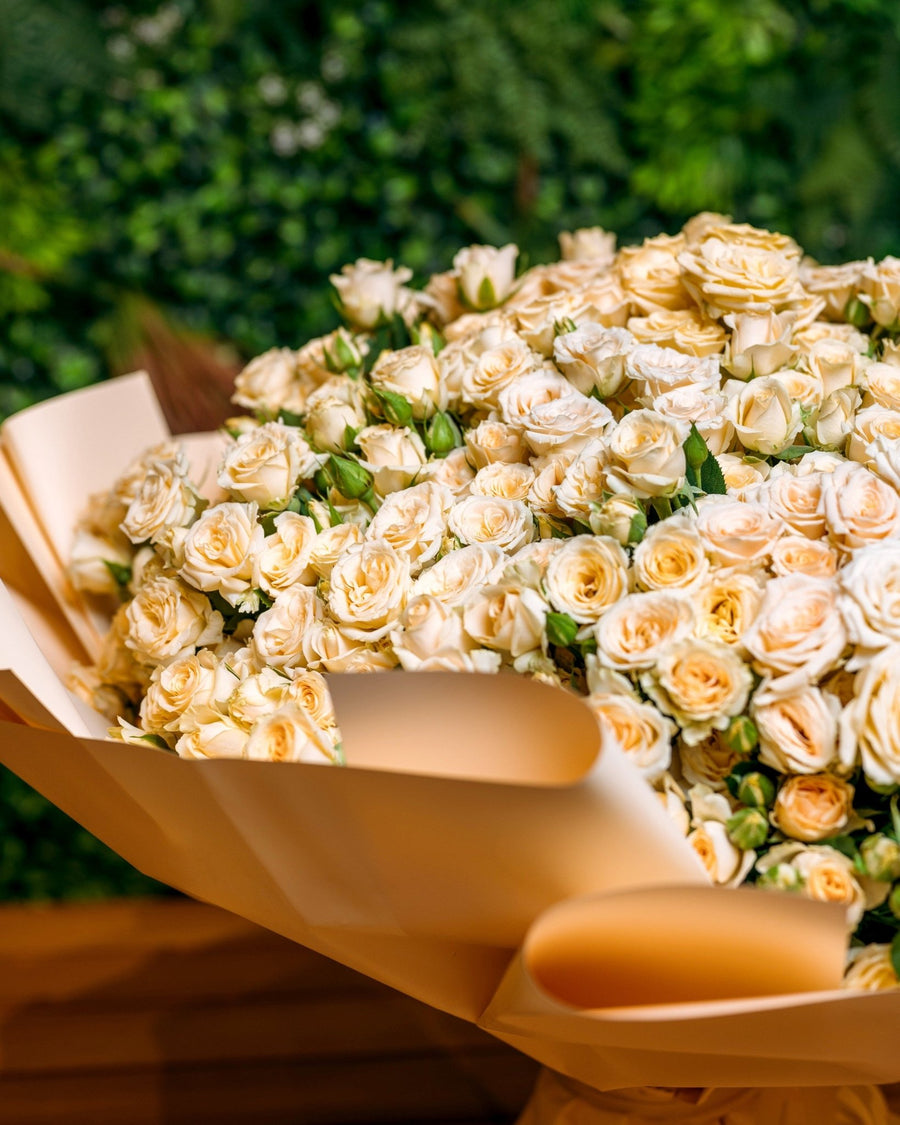 Spray roses Salinero - DJ flowers